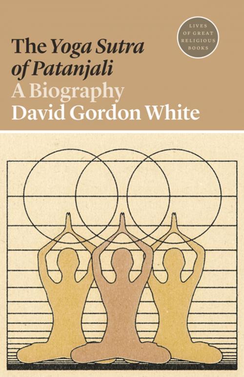 Cover of the book The Yoga Sutra of Patanjali by David Gordon White, Princeton University Press