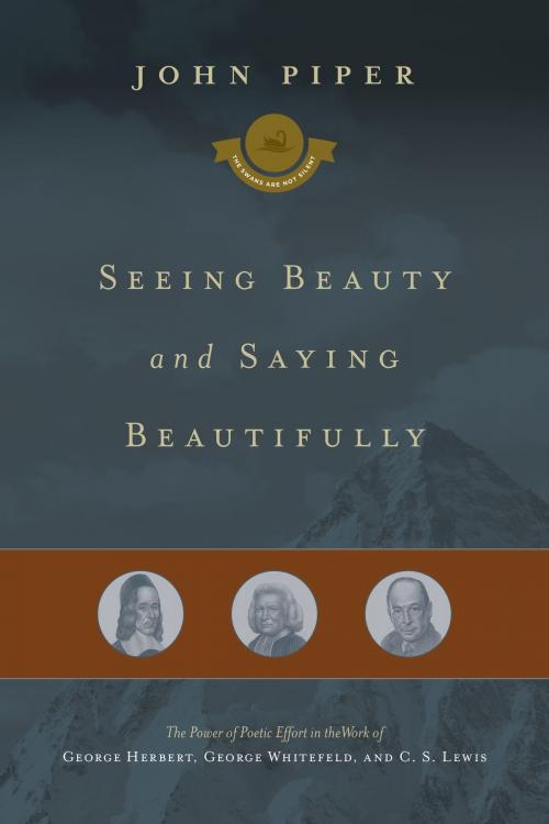 Cover of the book Seeing Beauty and Saying Beautifully by John Piper, Crossway