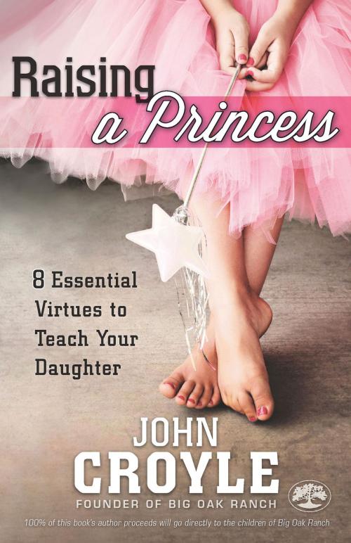 Cover of the book Raising a Princess by John Croyle, B&H Publishing Group