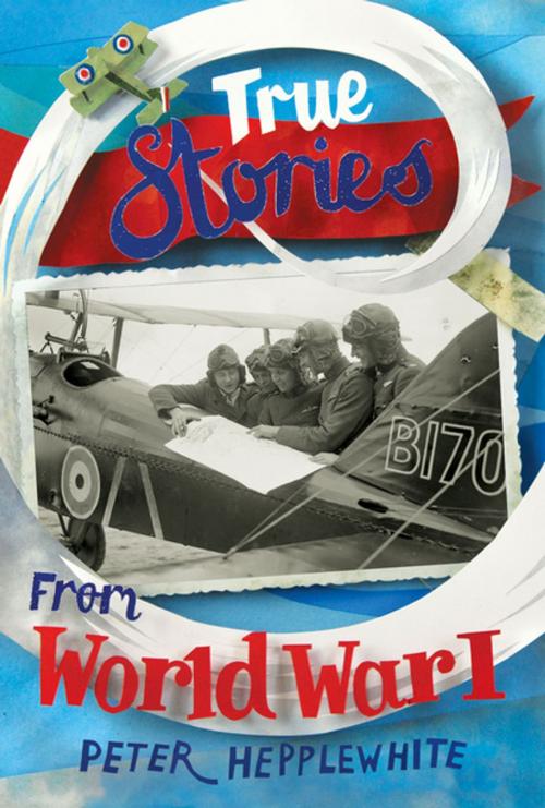 Cover of the book True Stories from World War I by Peter Hepplewhite, Pan Macmillan
