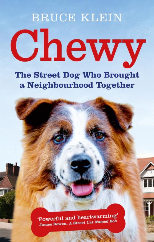 Cover of the book Chewy by Bruce Klein, Ebury Publishing