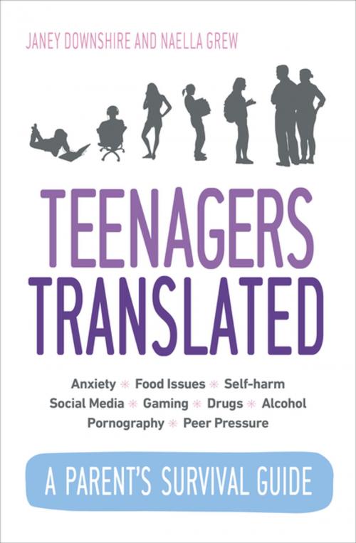 Cover of the book Teenagers Translated by Janey Downshire, Naella Grew, Ebury Publishing