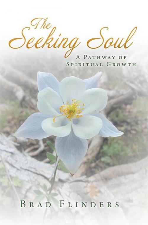 Cover of the book The Seeking Soul by Brad Flinders, Balboa Press