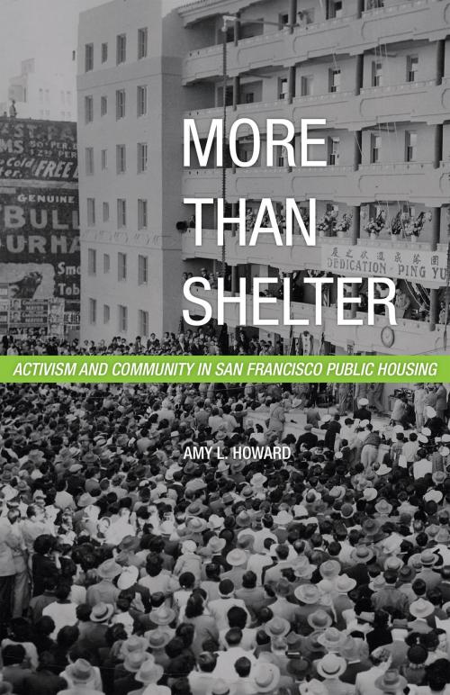 Cover of the book More Than Shelter by Amy L. Howard, University of Minnesota Press