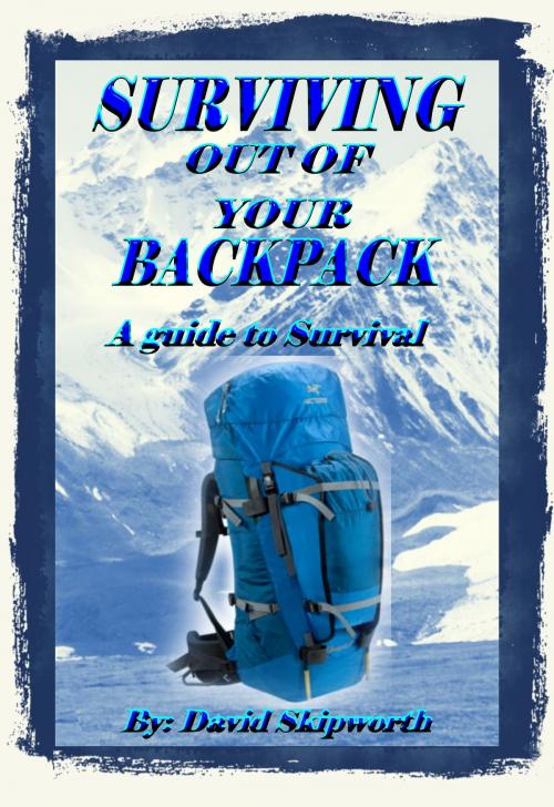 Cover of the book Surviving Out of Your Backpack by David Skipworth, eBookIt.com