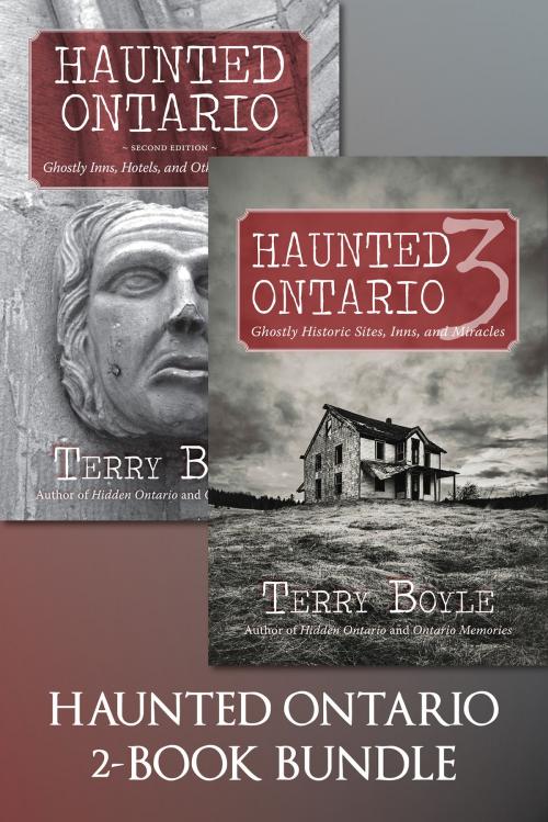 Cover of the book Haunted Ontario 2-Book Bundle by Terry Boyle, Dundurn