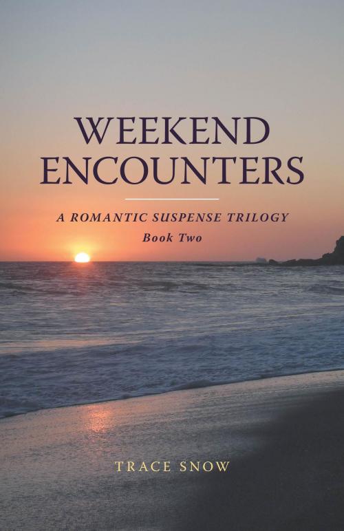 Cover of the book Weekend Encounters by Trace Snow, FriesenPress