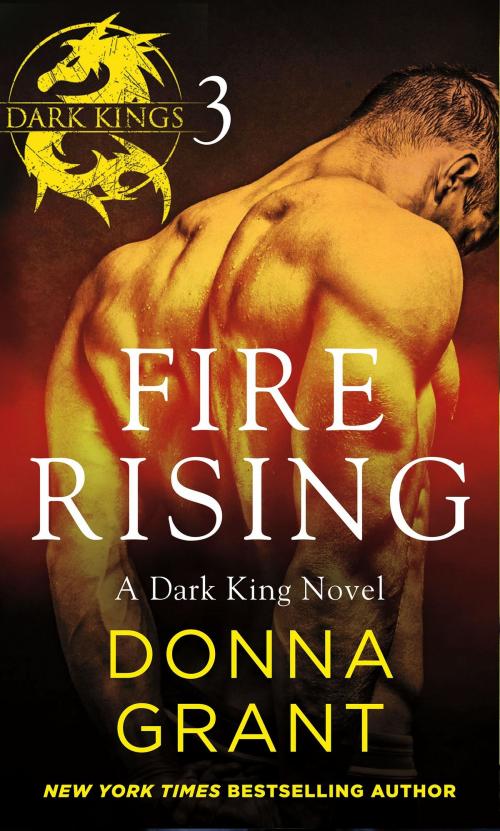 Cover of the book Fire Rising: Part 3 by Donna Grant, St. Martin's Press