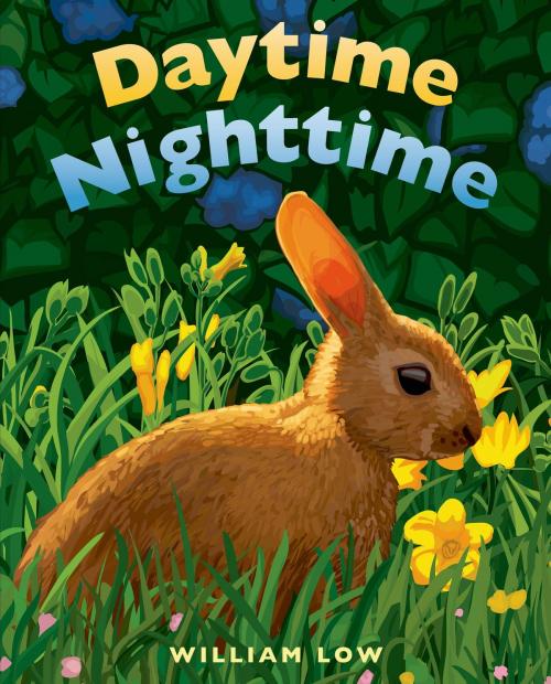 Cover of the book Daytime Nighttime by William Low, Henry Holt and Co. (BYR)