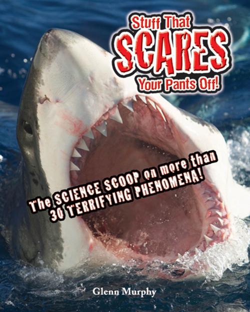 Cover of the book Stuff That Scares Your Pants Off! by Glenn Murphy, Roaring Brook Press