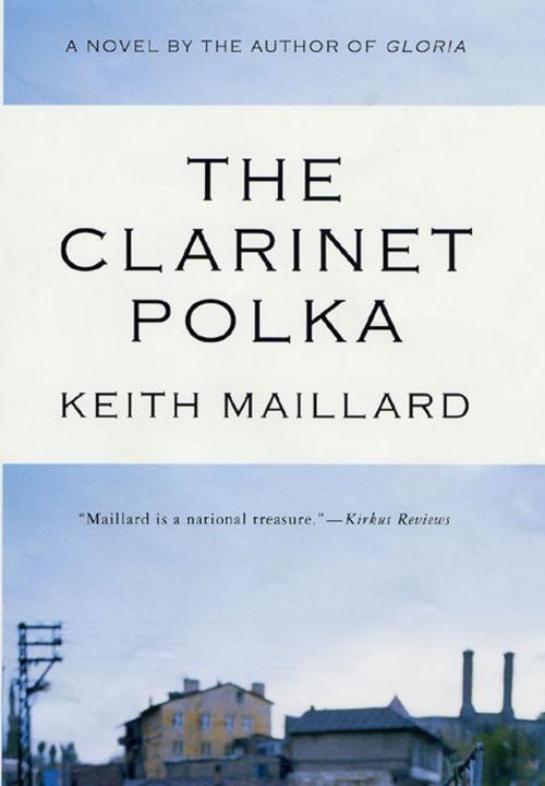 Cover of the book The Clarinet Polka by Keith Maillard, St. Martin's Press