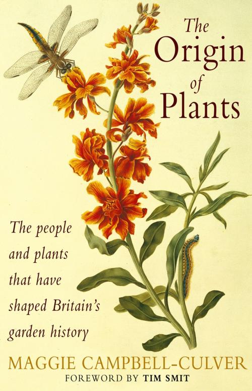 Cover of the book The Origin Of Plants by Maggie Campbell-Culver, Transworld