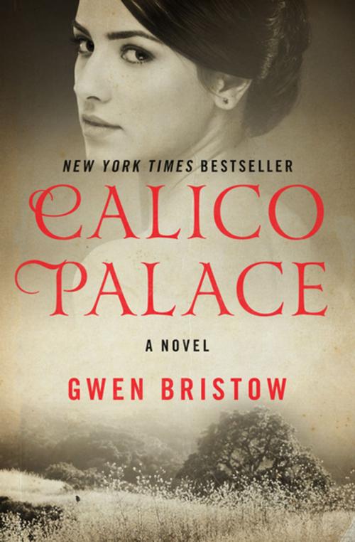 Cover of the book Calico Palace by Gwen Bristow, Open Road Media