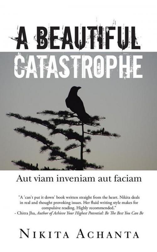 Cover of the book A Beautiful Catastrophe by Nikita Achanta, Partridge Publishing India