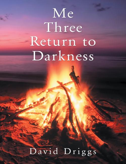 Cover of the book Me Three: Return to Darkness by David Driggs, Lulu Publishing Services