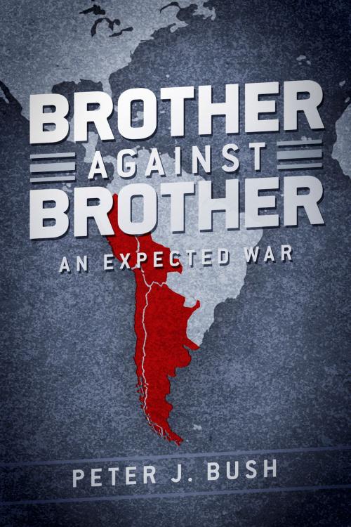 Cover of the book Brother Against Brother by Peter J. Bush, BookBaby