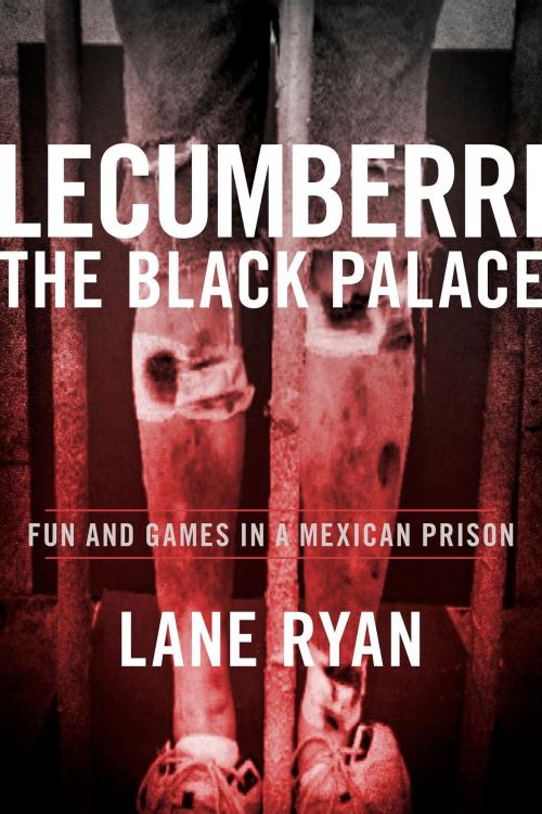 Cover of the book Lecumberri the Black Palace by Lane Ryan, BookBaby