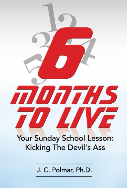 Cover of the book Six Months to Live by Jay C. Polmar, BookBaby
