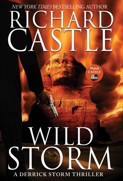 Cover of the book Wild Storm by Richard Castle, Disney Book Group