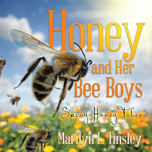 Cover of the book Honey and Her Bee Boys by Marilyn L. Tinsley, Trafford Publishing