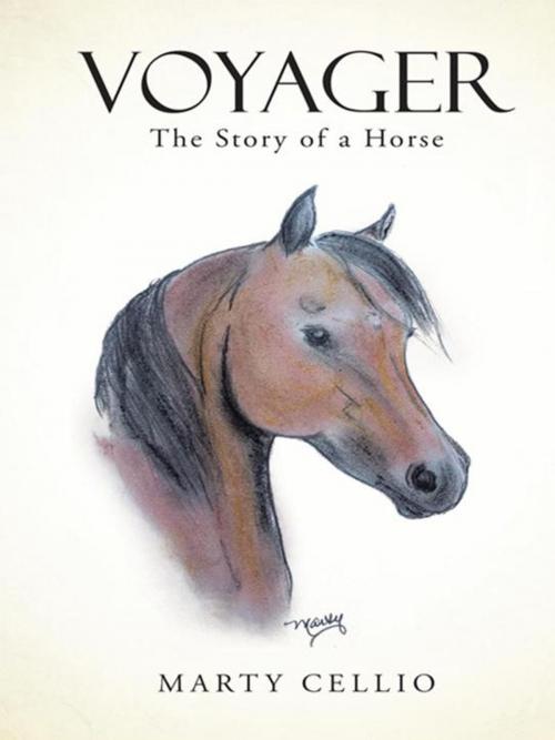 Cover of the book Voyager by Marty Cellio, WestBow Press