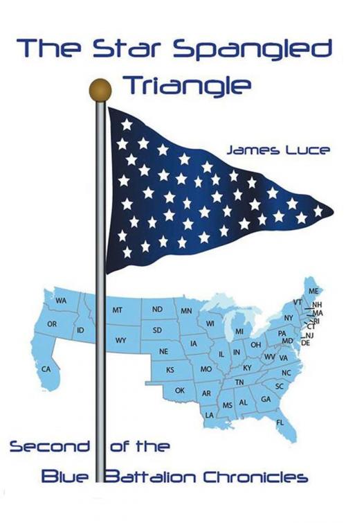 Cover of the book The Star-Spangled Triangle by James Luce, iUniverse