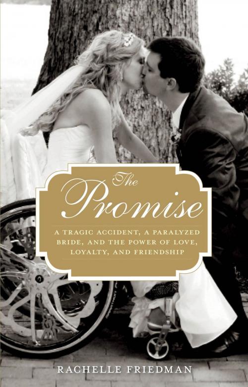 Cover of the book The Promise by Rachelle Friedman, Skirt!