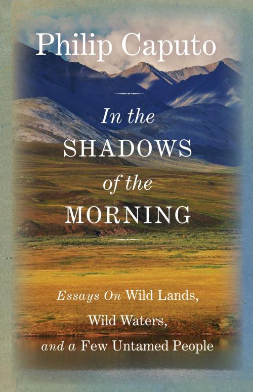 Cover of the book In the Shadows of the Morning by Philip Caputo, Lyons Press