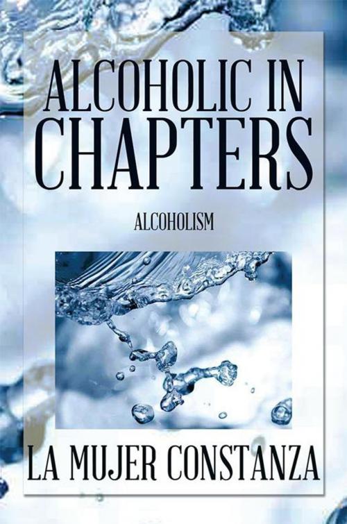 Cover of the book Alcoholic in Chapters by La Mujer Constanza, Xlibris US