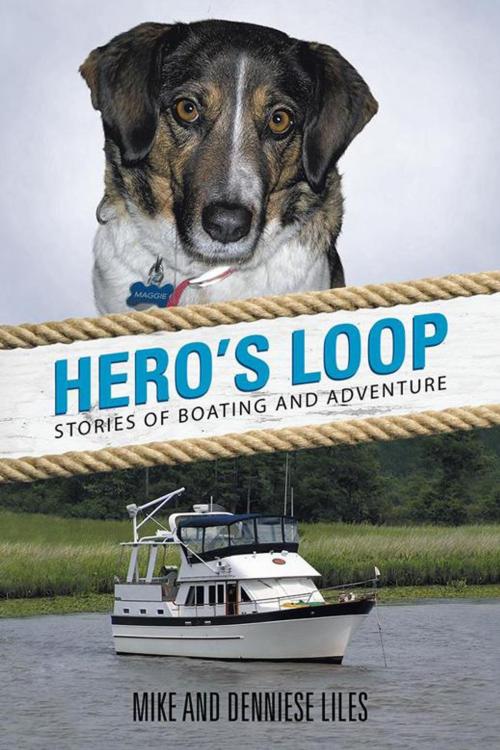 Cover of the book Hero's Loop by Mike, Denniese Liles, AuthorHouse