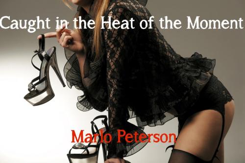 Cover of the book Caught in the Heat of the Moment by Marlo Peterson, Marlo Peterson