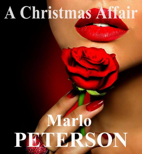 Cover of the book A Christmas Affair by Marlo Peterson, Marlo Peterson