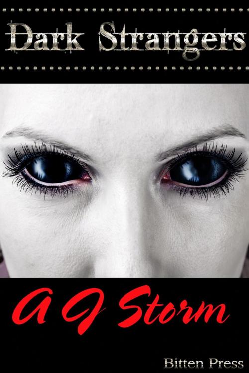 Cover of the book DARK STRANGERS by AJ Storm, Bitten Press LLC