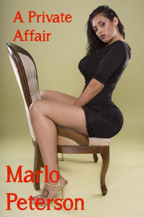 Cover of the book A Private Affair by Marlo Peterson, Marlo Peterson