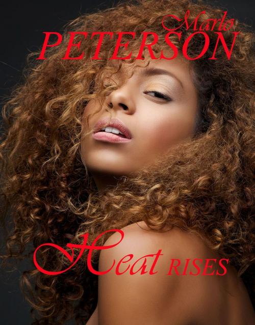 Cover of the book Heat Rises by Marlo Peterson, Marlo Peterson
