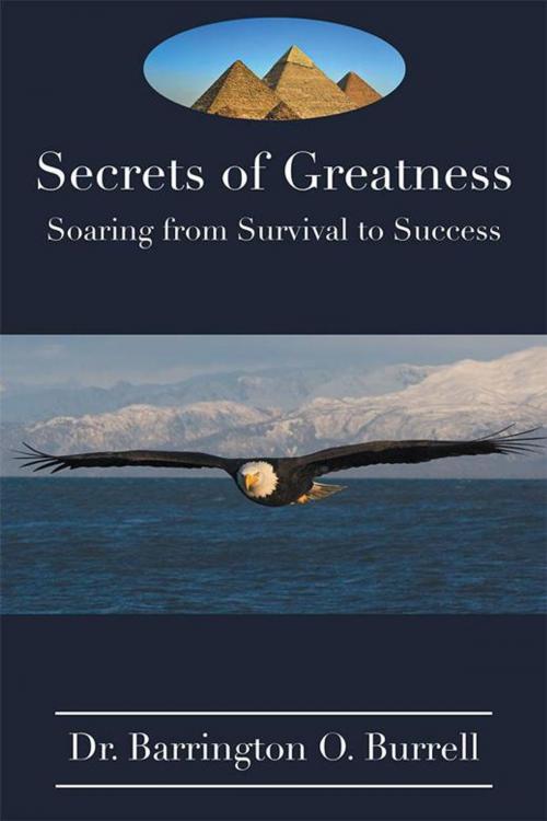Cover of the book Secrets of Greatness by Dr. Barrington O. Burrell, Xlibris UK