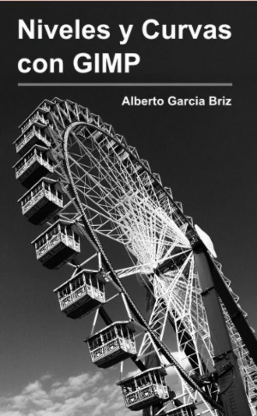 Cover of the book Niveles y Curvas con GIMP by Alberto García Briz, Alberto García Briz