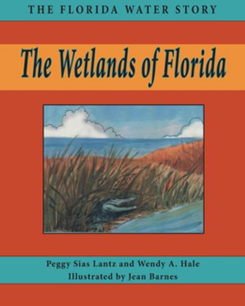 Cover of the book The Wetlands of Florida by Wendy A Hale, Peggy Lantz, Pineapple Press
