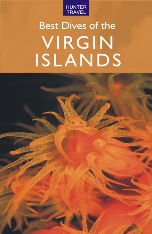 Cover of the book Best Dives of the Virgin Islands by Joyce  Huber, Hunter Publishing, Inc.