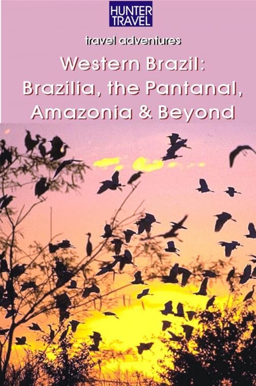Cover of the book Western Brazil, Brazilia, the Pantanal, Amazonia & Beyond by John  Waggoner, Hunter Publishing, Inc.