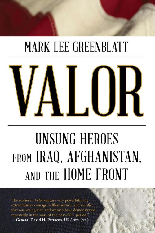 Cover of the book Valor by Mark Lee Greenblatt, Taylor Trade Publishing
