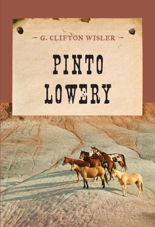 Cover of the book Pinto Lowery by G. Clifton Wisler, M. Evans & Company