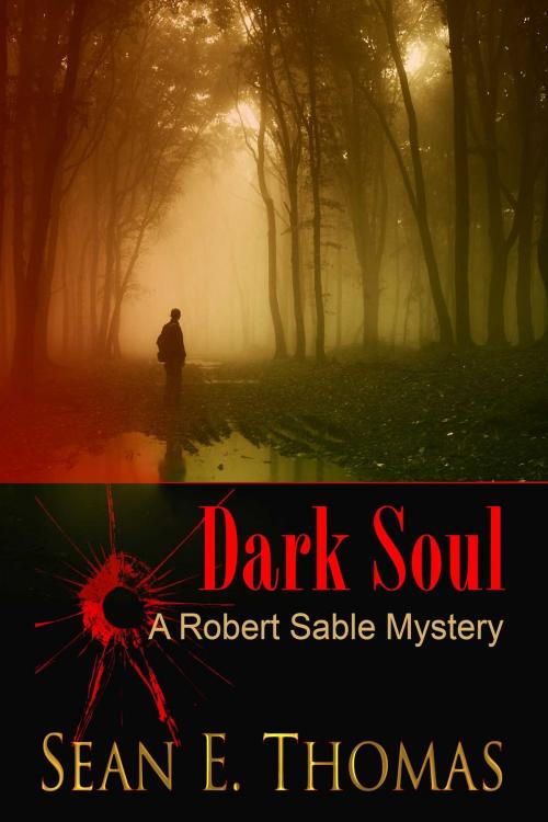 Cover of the book Dark Soul by Sean E Thomas, Whiskey Creek Press