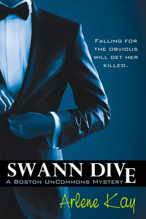 Cover of the book Swann Dive by Arlene Kay, BelleBooks Inc.