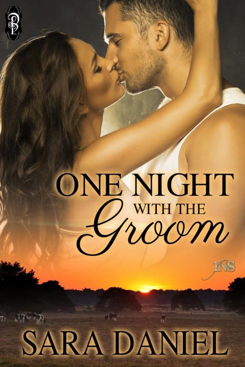 Cover of the book One Night with the Groom by Sara Daniel, Decadent Publishing