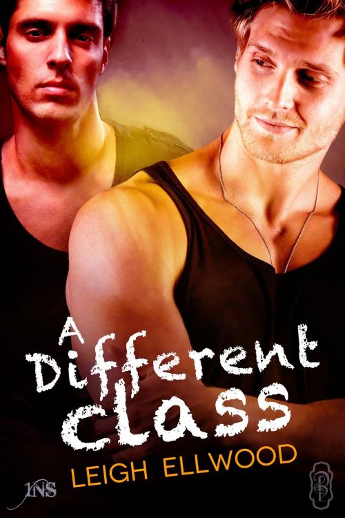Cover of the book A Different Class by Leigh Ellwood, Decadent Publishing