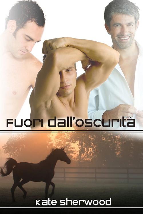 Cover of the book Fuori dall’oscurità by Kate Sherwood, Dreamspinner Press