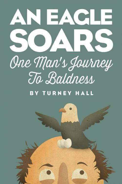 Cover of the book An Eagle Soars by Turney Hall, Post Hill Press