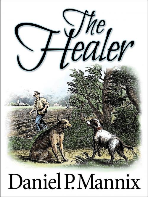 Cover of the book The Healer by Daniel P Mannix, eNet Press Inc.