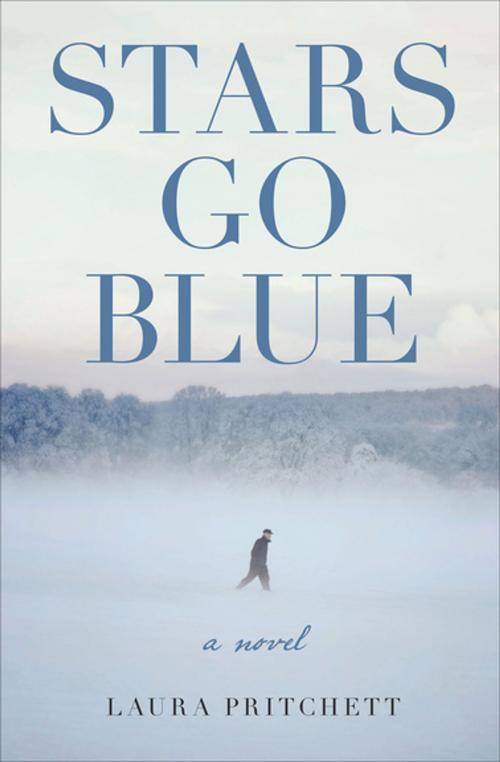 Cover of the book Stars Go Blue by Laura Pritchett, Counterpoint Press